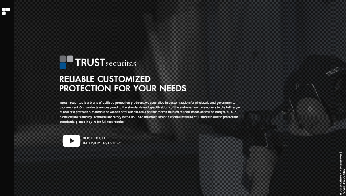 Landing page preview of Trust Securitas